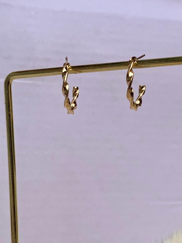 Chained Hoops - Image 7