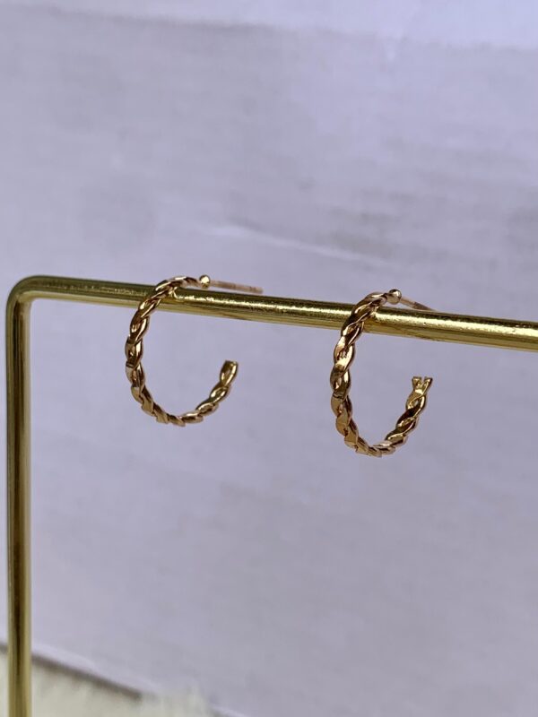 Chained Hoops - Image 2